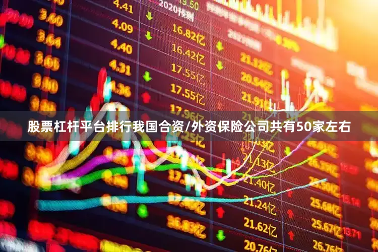 股票杠杆平台排行我国合资/外资保险公司共有50家左右