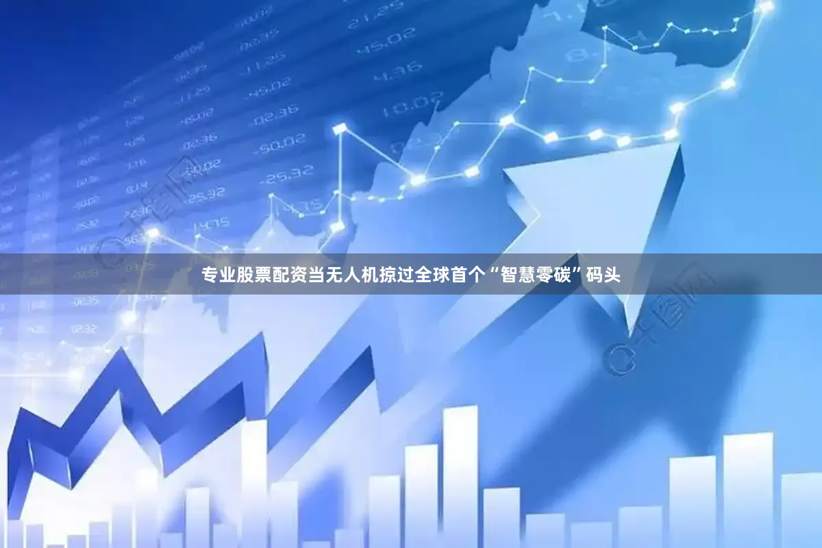 专业股票配资当无人机掠过全球首个“智慧零碳”码头