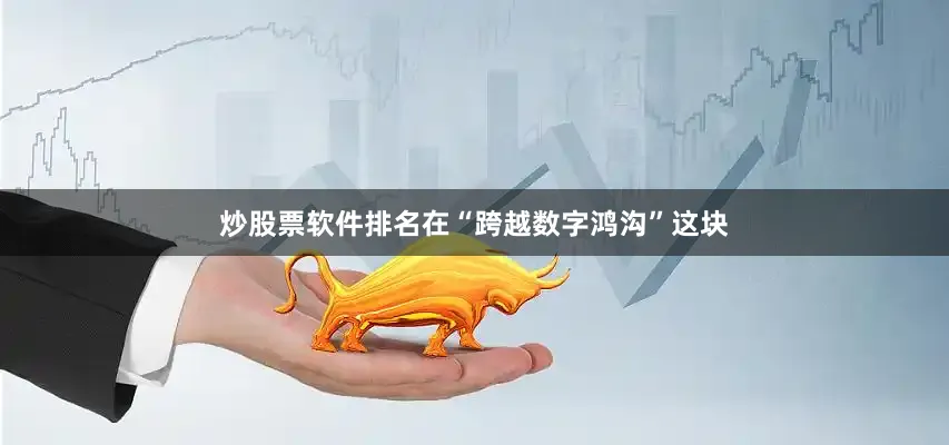 炒股票软件排名在“跨越数字鸿沟”这块