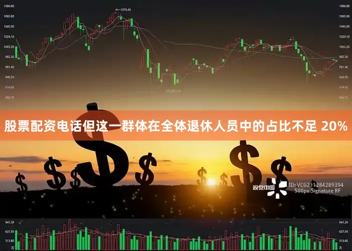 股票配资电话但这一群体在全体退休人员中的占比不足 20%